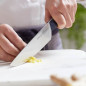 Couteau Chef Petit N°217 17cm Intempora | OPINEL