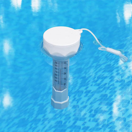 Thermomètre pour piscine blanc WERKA PRO pas cher 